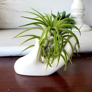 Ceramic Hand Air Plant/Succulent Holder